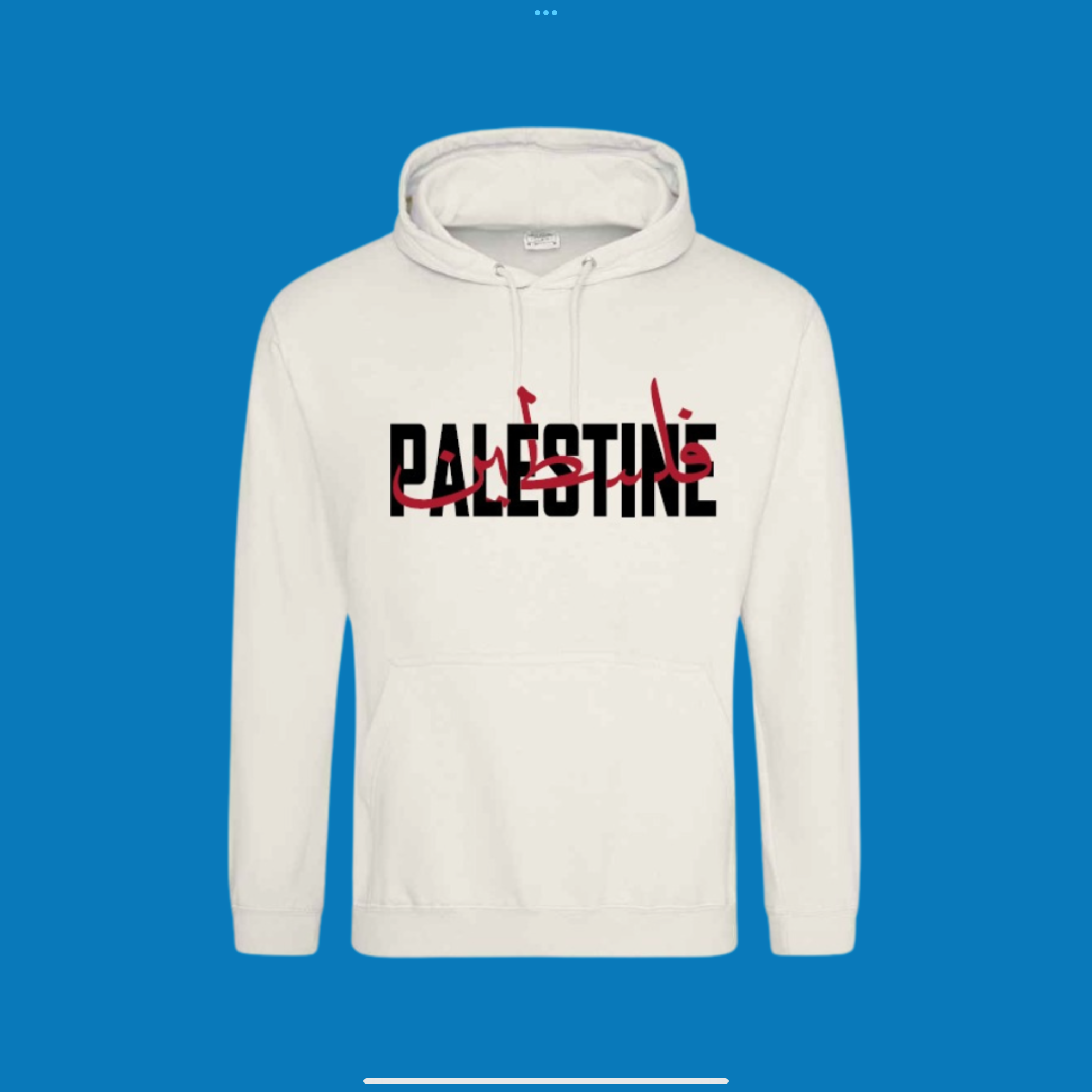 Palestine Caligraphy Hoodie